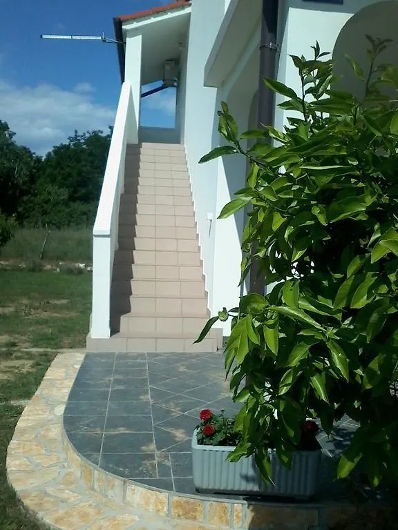 Holiday S&M Lopar