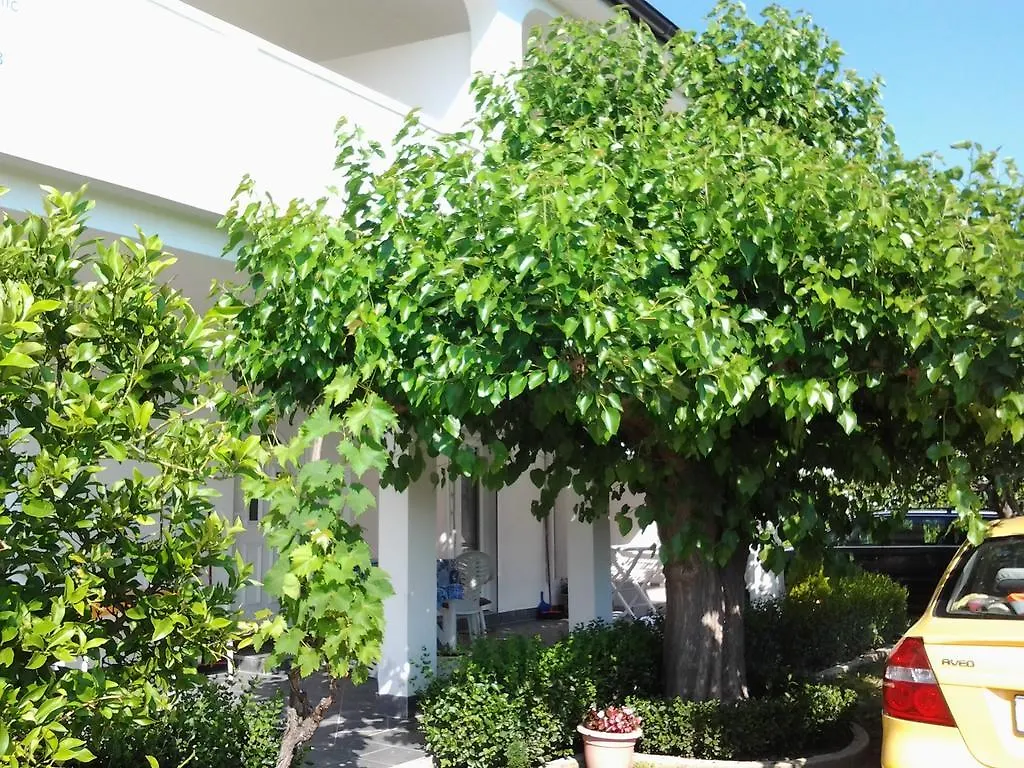 Holiday S&M Lopar Apartament